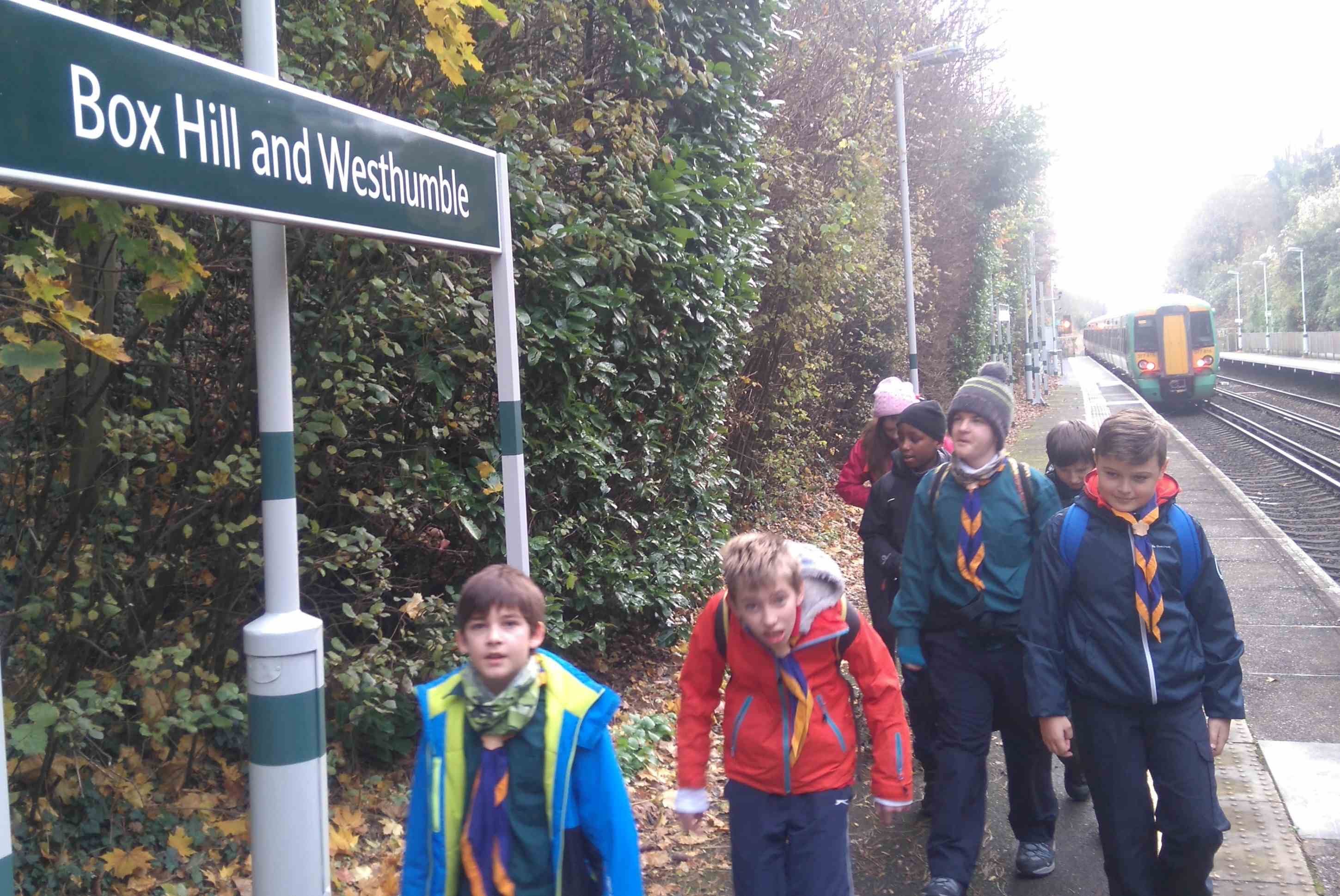 Scouts at Boxhill and Westhumble